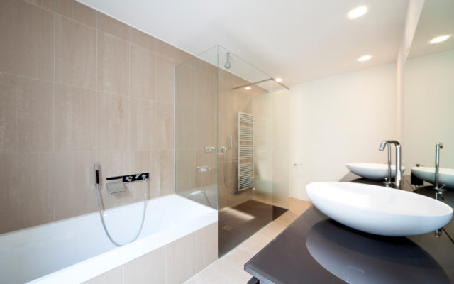 Frameless glass shower screen by Dynamic Glass Melbourne